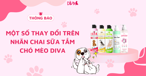 [THÔNG BÁO] CẬP NHẬT MÃ VẠCH QUỐC GIA TRÊN NHÃN CHAI SẢN PHẨM DIVA