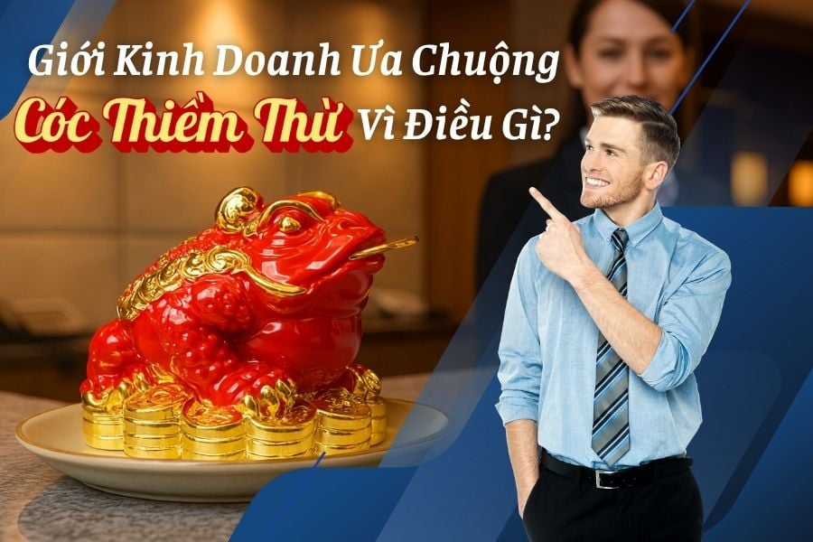 Giới Kinh Doanh Ưa Chuộng Cóc Thiềm Thừ Vì Điều Gì?
