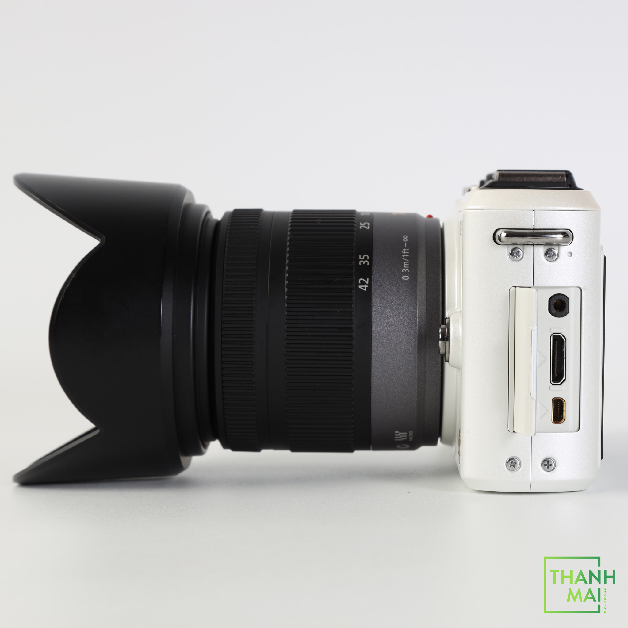 Máy Ảnh Panasonic Lumix DMC-GF1 Kit Lumix G Vario 14-42mm F3.5-5.6 ASPH