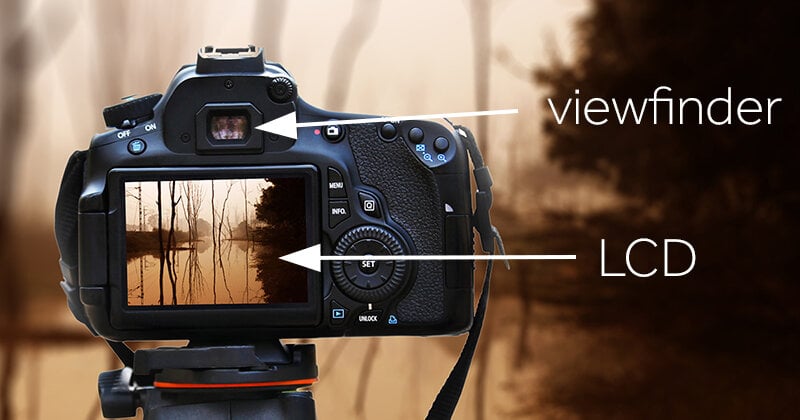 Live View vs Viewfinder: Nên Dùng Chế Độ Nào Khi Chụp Ảnh? - Thanh Mai Store