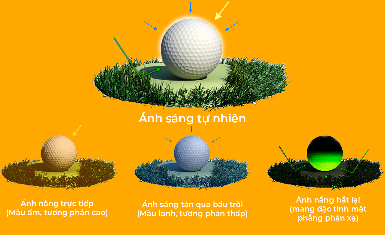 Cách Tận Dụng Ánh Sáng Tự Nhiên Trong Nhiếp Ảnh - Thanh Mai Store