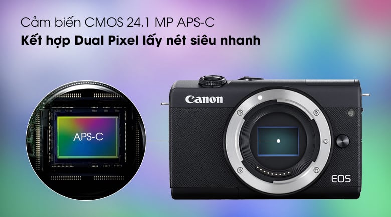 https://thanhmaistore.vn/