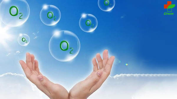 Tầm quan trọng của Oxy đối với sự sống và Một số bộ phận trong cơ thể người
