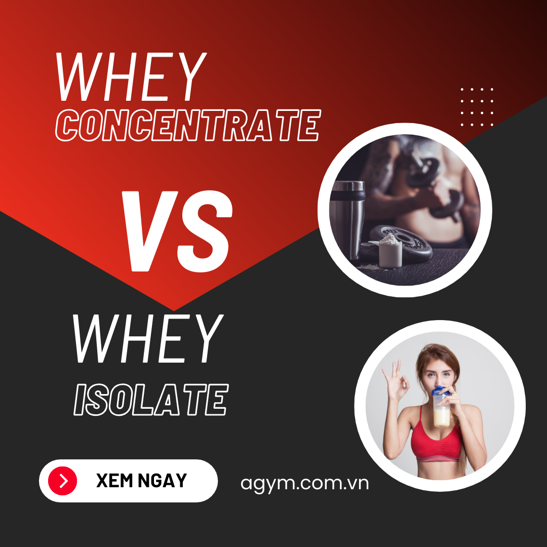 [So Sánh] Sự Khác Biệt Giữa Whey Concentrate Và Whey Isolate – AGym