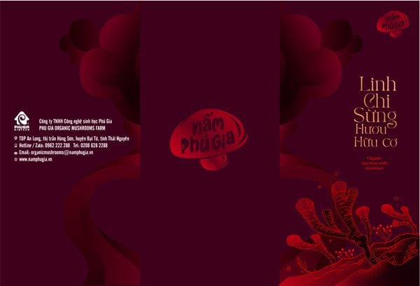 Nấm Linh Chi Sừng Hươu - Món quà ý nghĩa!