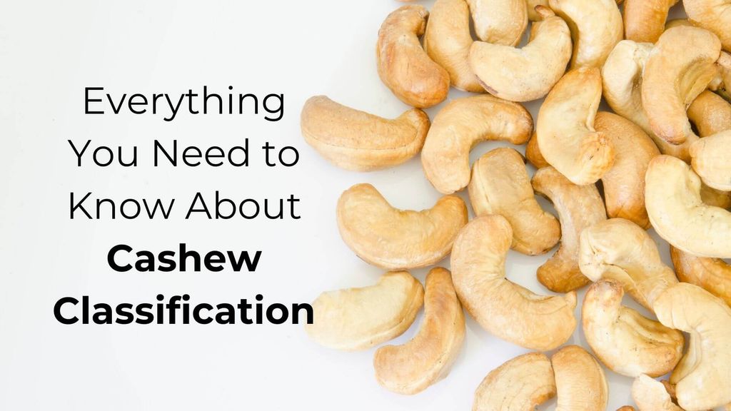 Everything You Need to Know About Cashew Classification