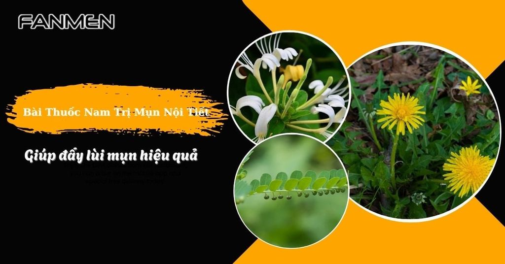 bài thuốc nam trị mụn nội tiết