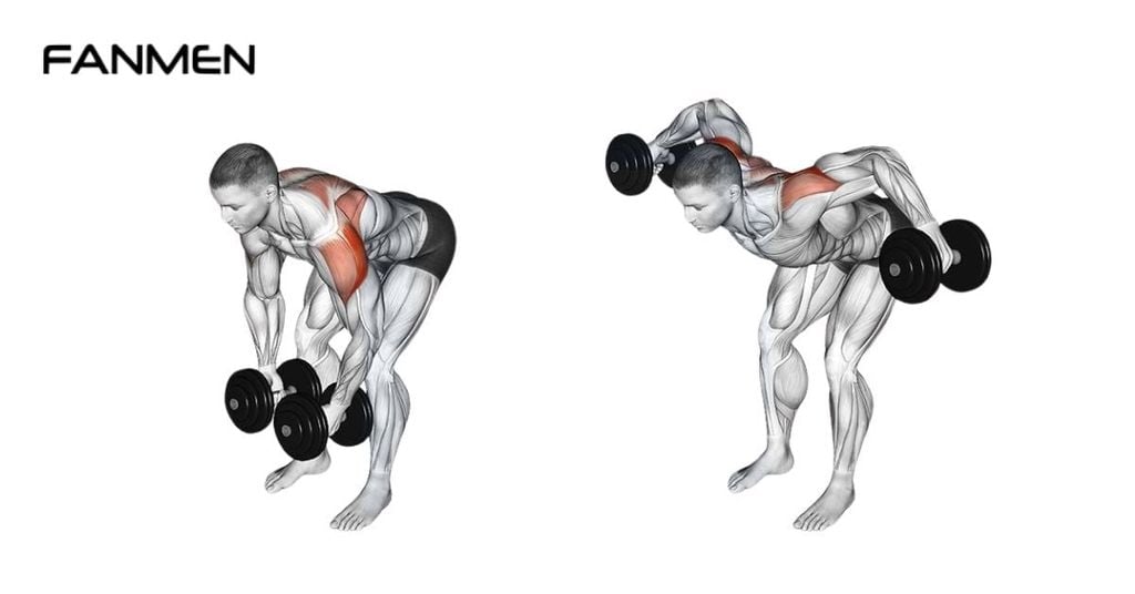 Nâng tạ hai bên (Bent-Over Dumbbell Lateral Raise)