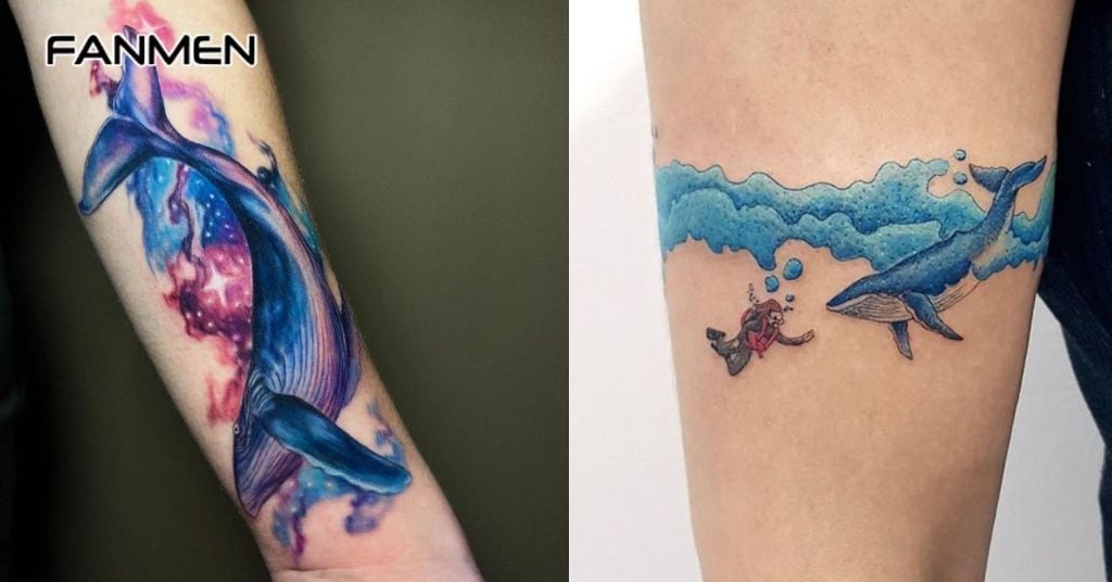 Hình các sinh vật biển