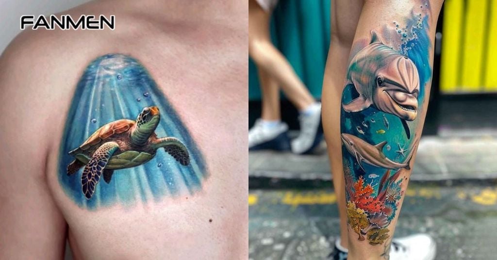 Hình các sinh vật biển