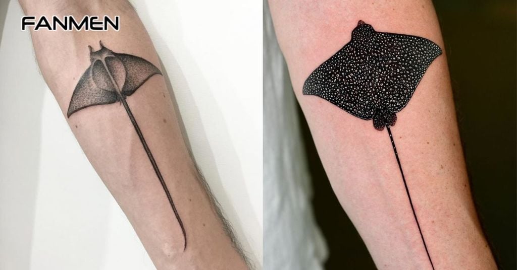 Hình các sinh vật biển