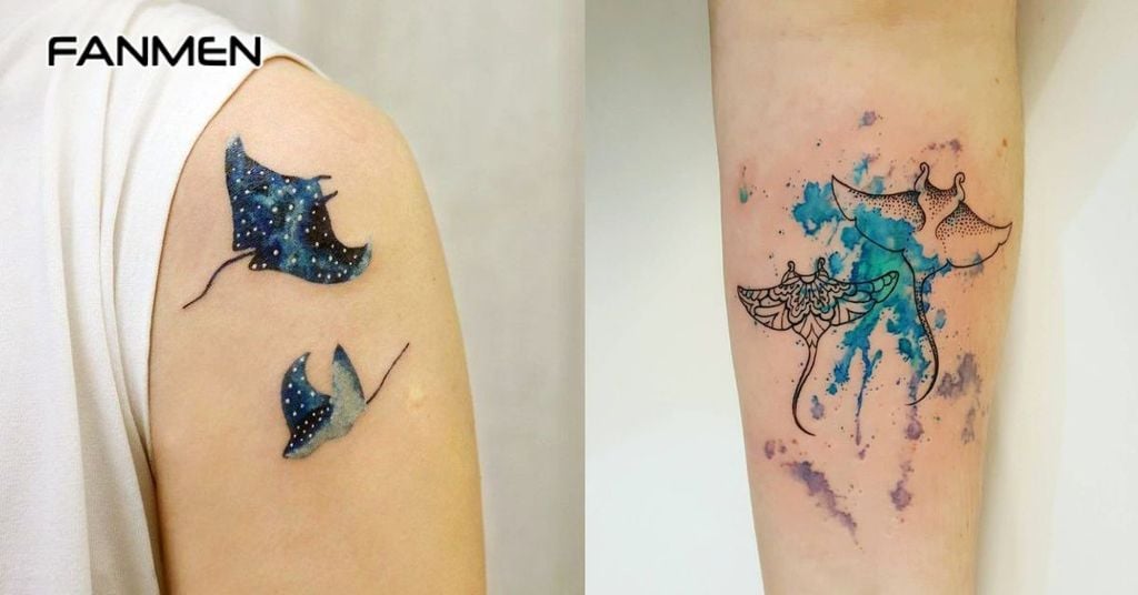 Hình các sinh vật biển