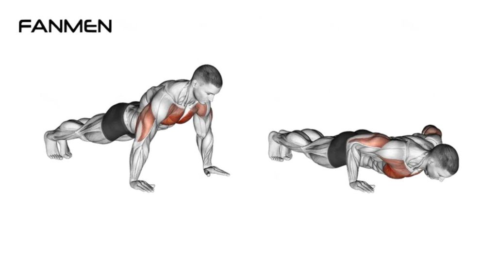 Pushups