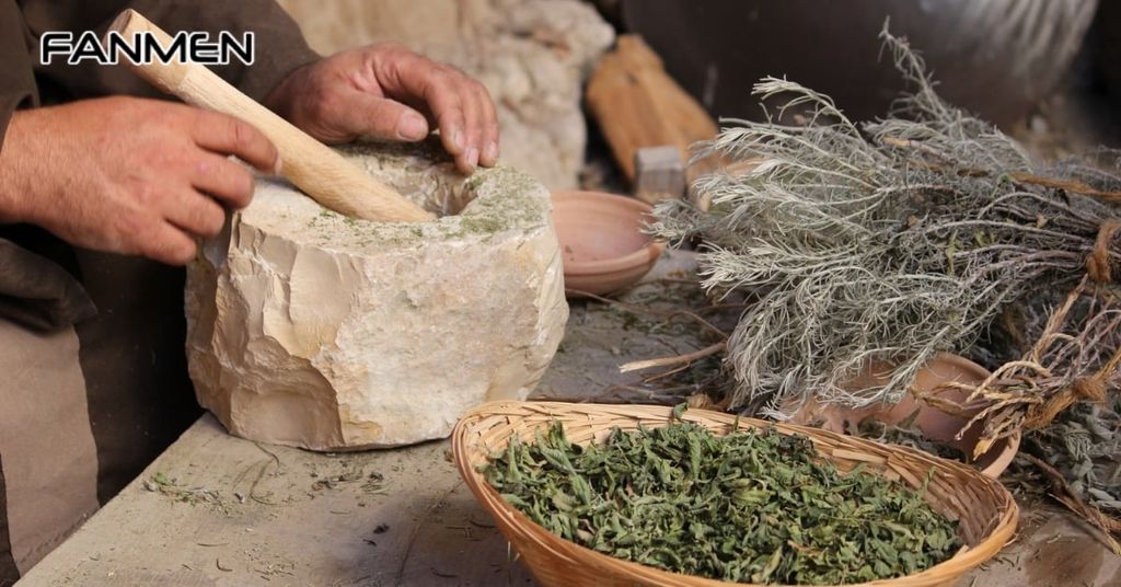 Sử dụng các thảo dược hỗ trợ tiêu hóa
