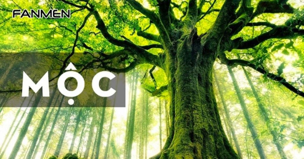 Tính cách của những người mệnh Mộc