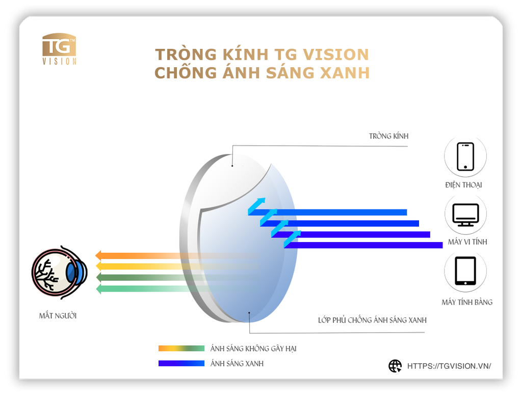 Nguyên lý hoạt động của tròng kính chống ánh sáng xanh - Theo TG Vision