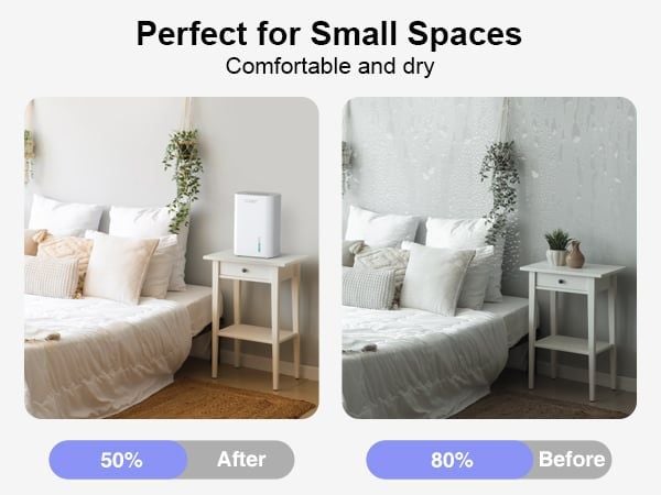 Hút ẩm chống nấm mốc – Giải pháp bảo vệ sức khỏe và không gian sống