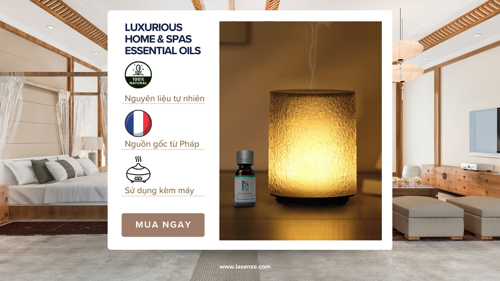 KIẾN TẠO KHÔNG GIAN RESORT 5 SAO TẠI NHÀ