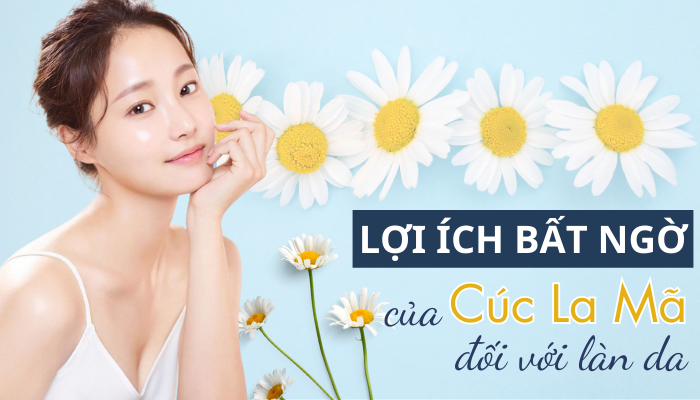 Lợi ích bất ngờ của Cúc La Mã với làn da