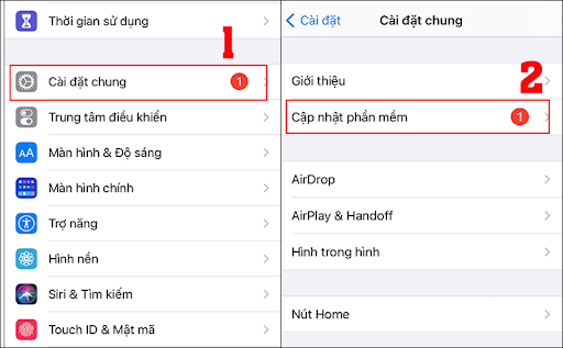 Hình ảnh bài viết