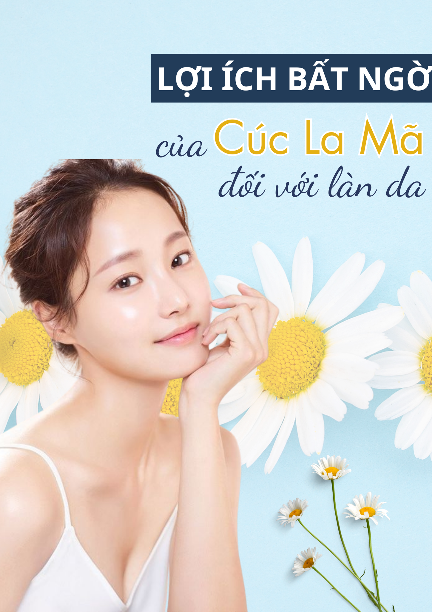 Lợi ích bất ngờ của Cúc La Mã với làn da bạn có biết?