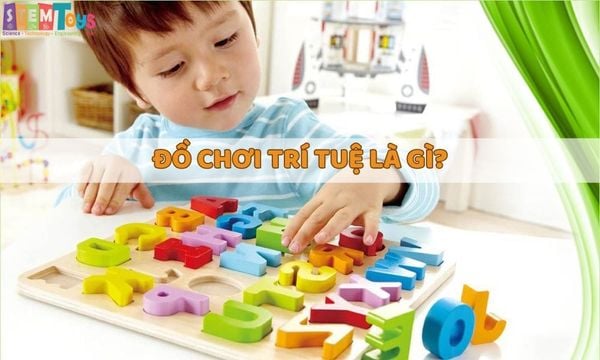 Đồ chơi trí tuệ là gì? Top 10 bộ đồ chơi giúp bé thông minh, sáng tạo hơn