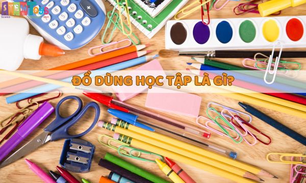 Đồ dùng học tập là gì? Những món đồ dùng học tập đầy đủ và hiệu quả