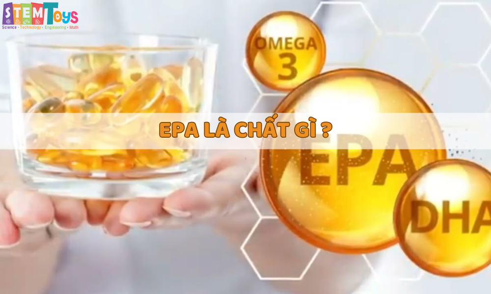 EPA là gì? Công dụng, cách sử dụng và những lưu ý quan trọng đối với sức khỏe