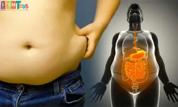 EPA làm giảm chất béo trung tính trong máu