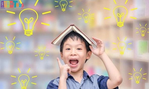 Đồ chơi phát triển trí tuệ là gì?