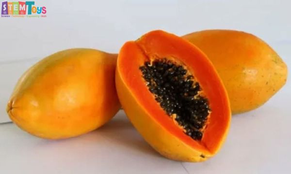 Quả đu đủ