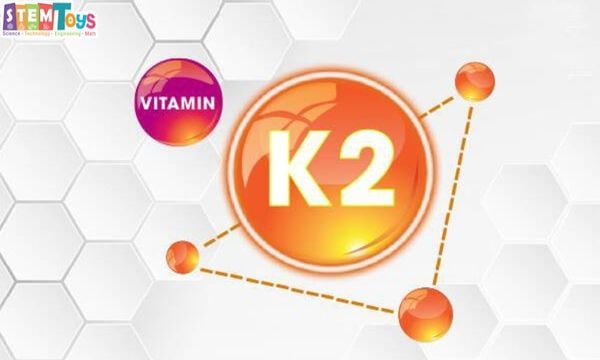 Tác dụng của vitamin K2