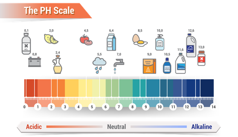 Độ pH là gì? Cách tính và thiết bị đo độ pH nhanh, rẻ hiện nay?