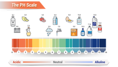 Độ pH là gì? Cách tính và thiết bị đo độ pH nhanh, rẻ hiện nay?