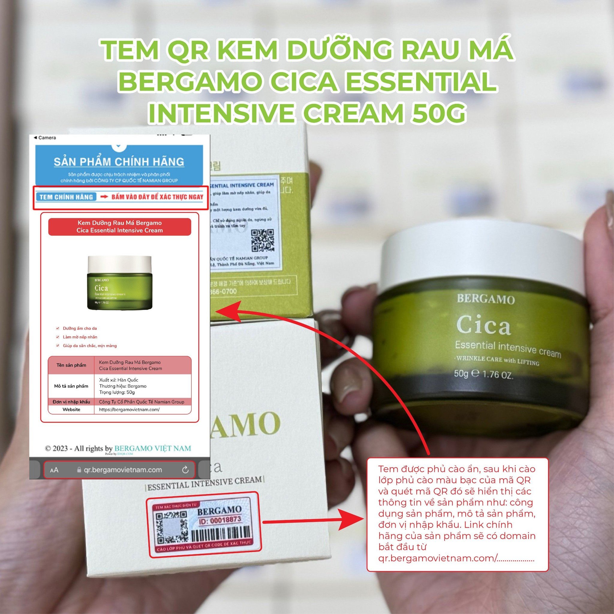 CÁCH PHÂN BIỆT KEM DƯỠNG RAU MÁ BERGAMO CICA ESSENTIAL INTENSIVE CREAM 50G CHÍNH HÃNG