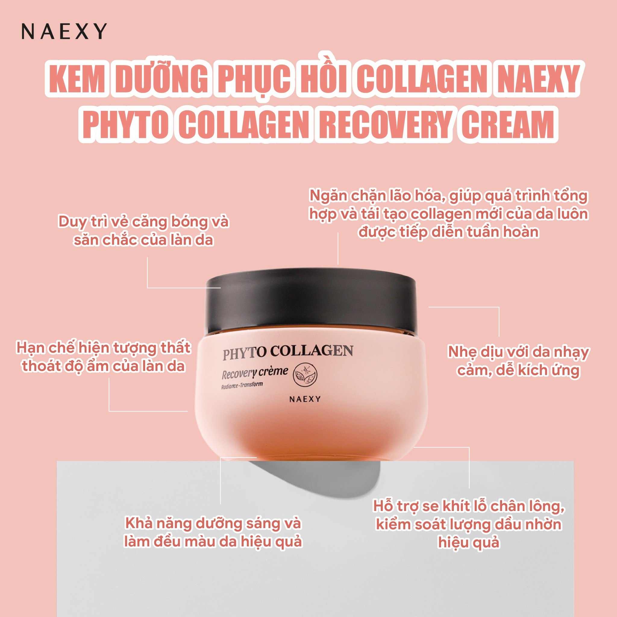 Kem dưỡng phục hồi collagen Naexy Phyto Collagen Recovery Cream 50g