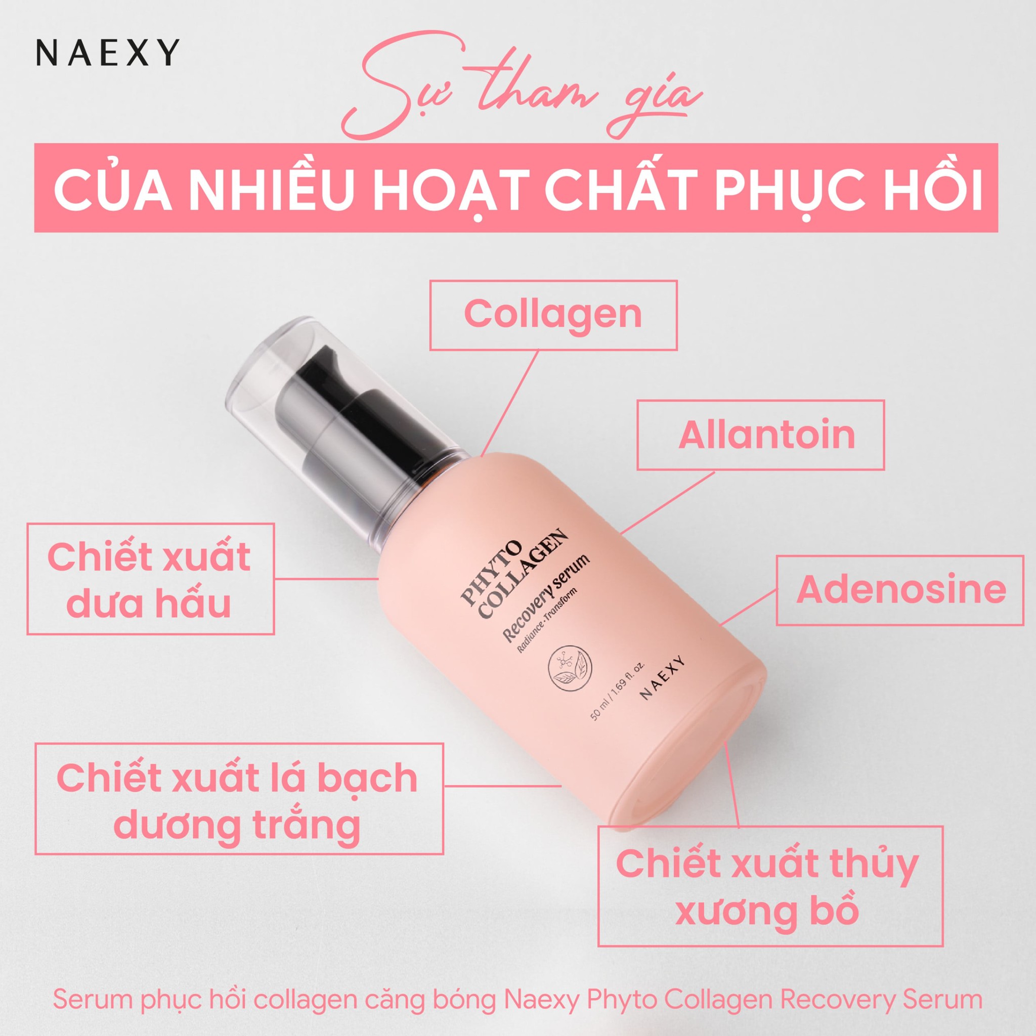 Thành phần nổi bật