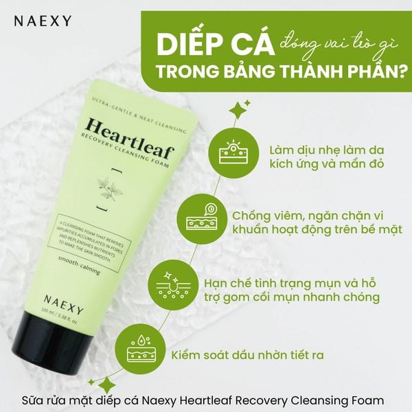 DIẾP CÁ ĐÓNG VAI TRÒ GÌ TRONG BẢNG THÀNH PHẦN