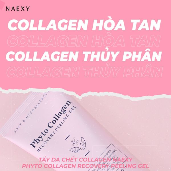 Collagen hòa tan và Collagen thủy phân