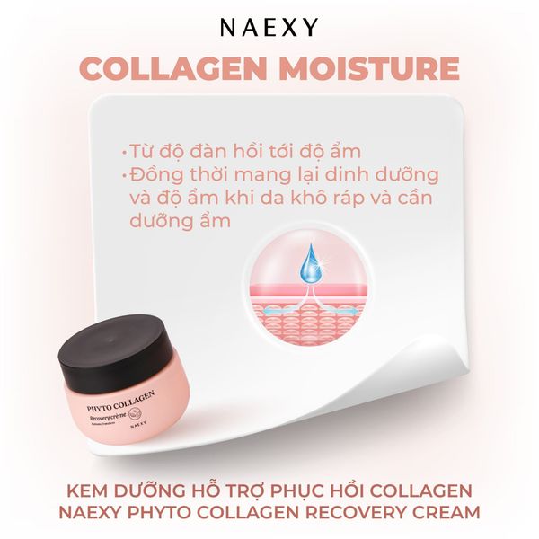 Thành phần nổi bật
