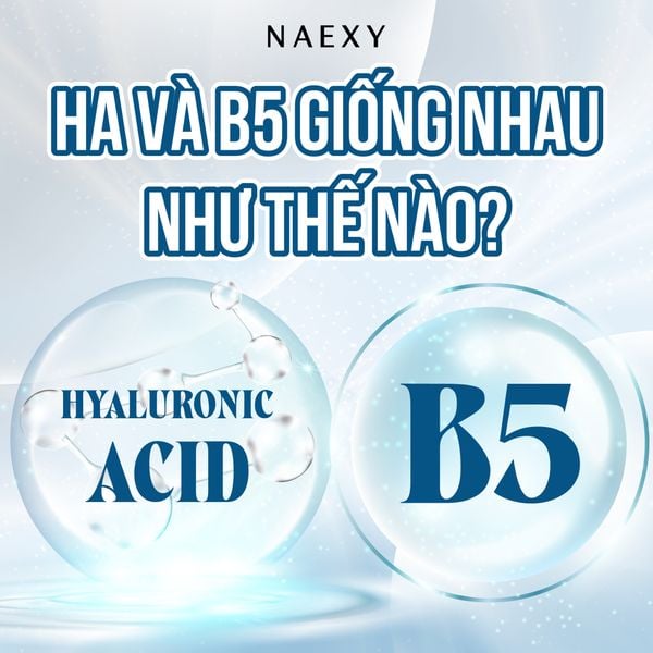 HA VÀ B5 GIỐNG NHAU NHƯ THẾ NÀO?