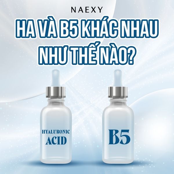 HA VÀ B5 KHÁC NHAU NHƯ THẾ NÀO?
