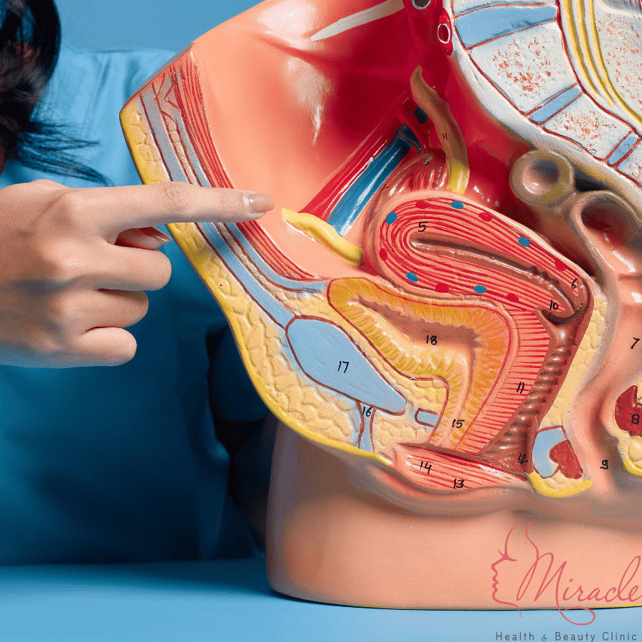 Hệ thống sinh sản của phụ nữ: Những câu hỏi thường gặp và kiến thức cần biết