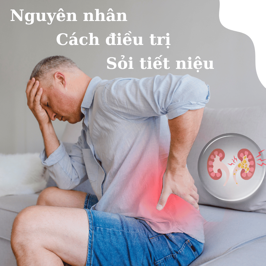 Nguyên nhân và cách điều trị sỏi tiết niệu - Các mẹo dân gian có gây nguy hiểm?