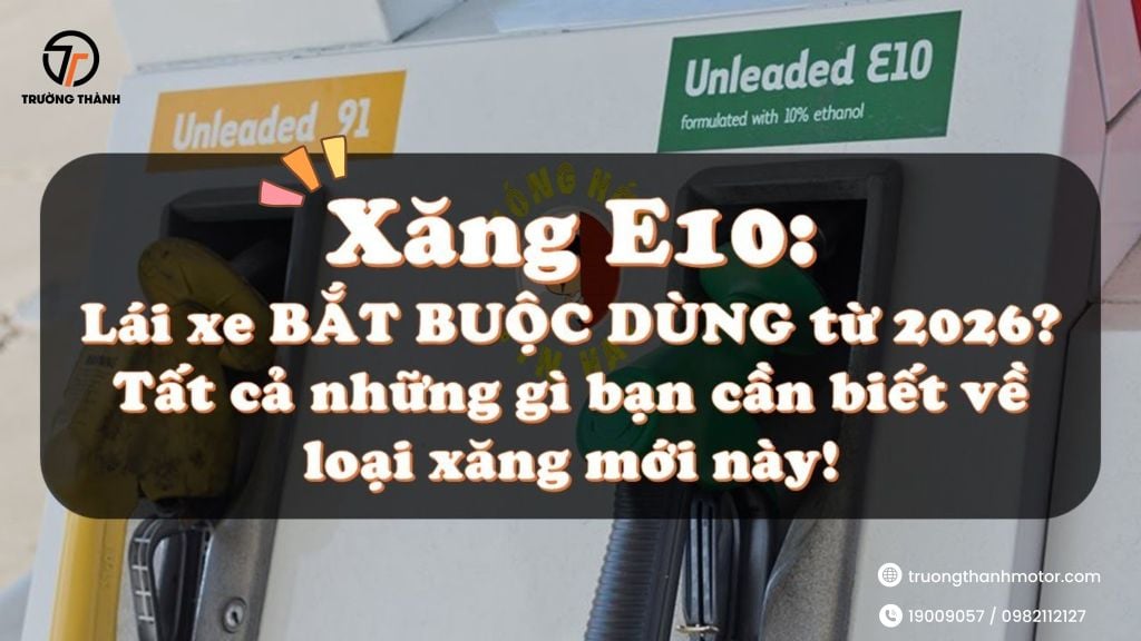 Những dòng xe nào dùng xăng E10 được?