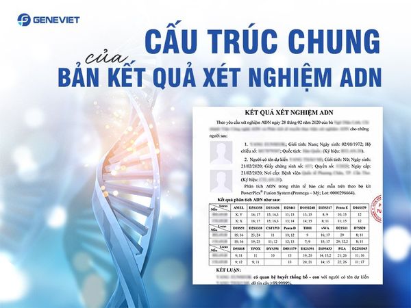Hướng dẫn đọc và hiểu kết quả xét nghiệm ADN huyết thống chính xác