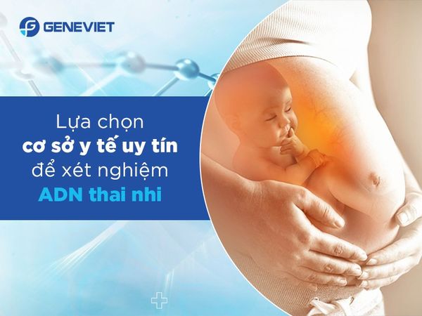 Những lưu ý quan trọng khi thực hiện xét nghiệm ADN huyết thống thai nhi