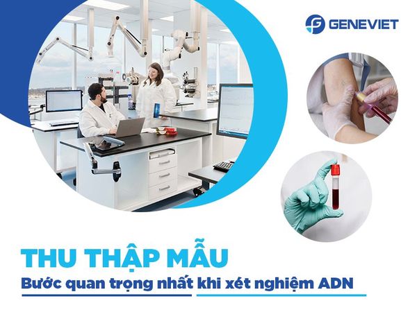 Những yếu tố ảnh hưởng đến độ chính xác của xét nghiệm ADN huyết thống
