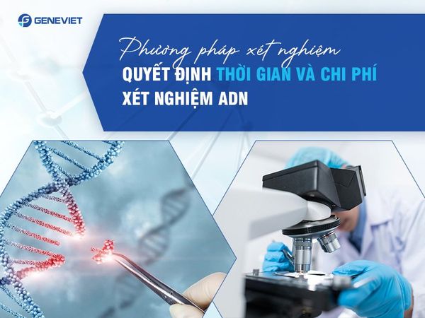 Những yếu tố quyết định thời gian và chi phí xét nghiệm huyết thống