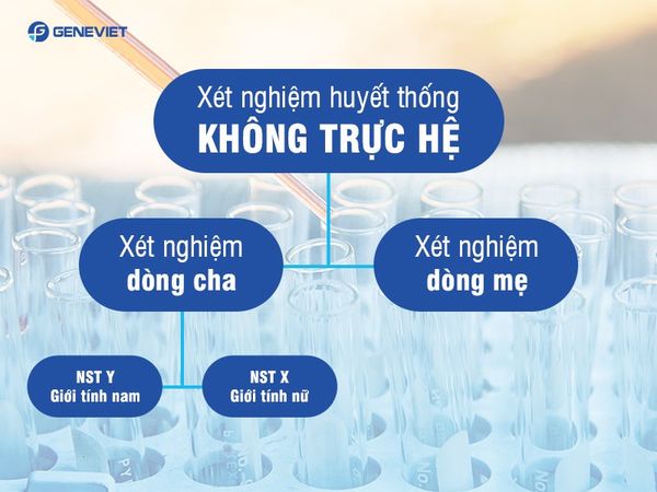 Tìm hiểu xét nghiệm huyết thống không trực hệ tại GeneViet